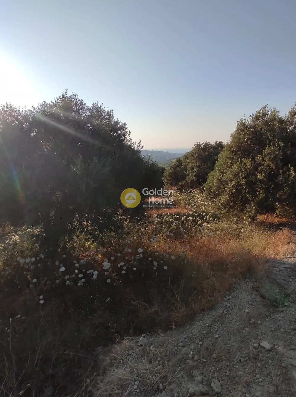 Land Parcel 2314m²  - 4