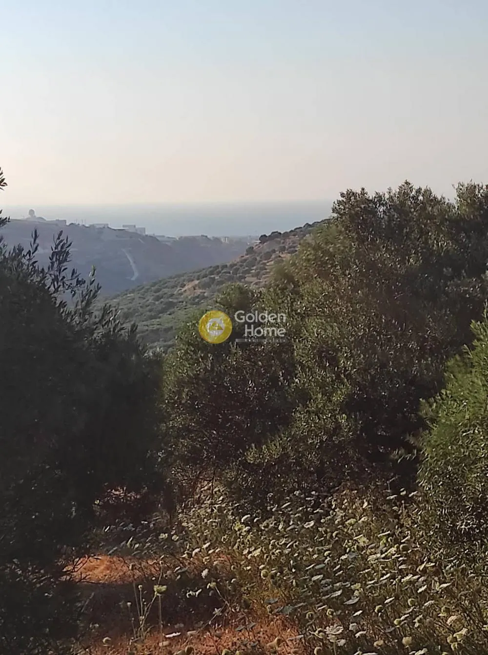 Land Parcel 2314m²  - 5