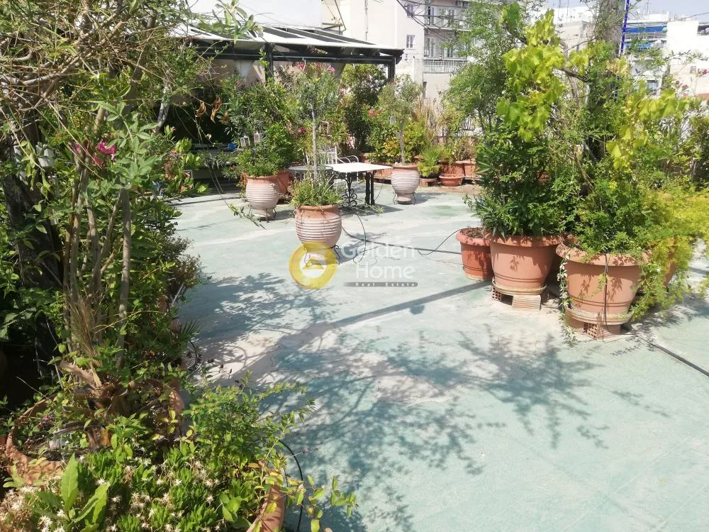 Άλλο..  550τ.μ.  - 5