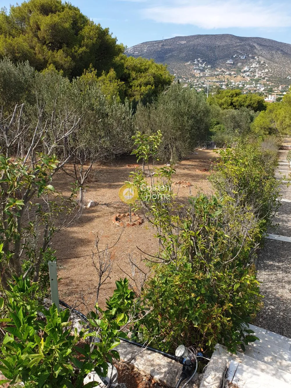 Μονοκατοικία 140τ.μ.  - 3