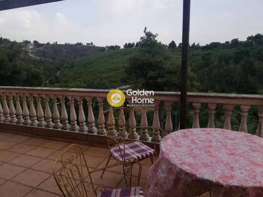 Detached house 330m²  - 5