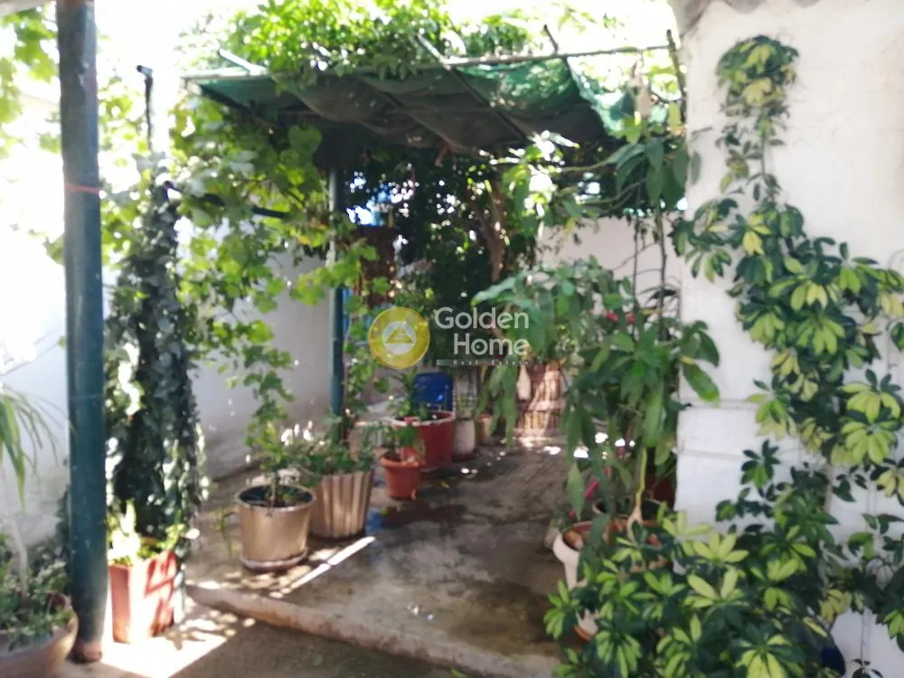 Other .. 650m²  - 3