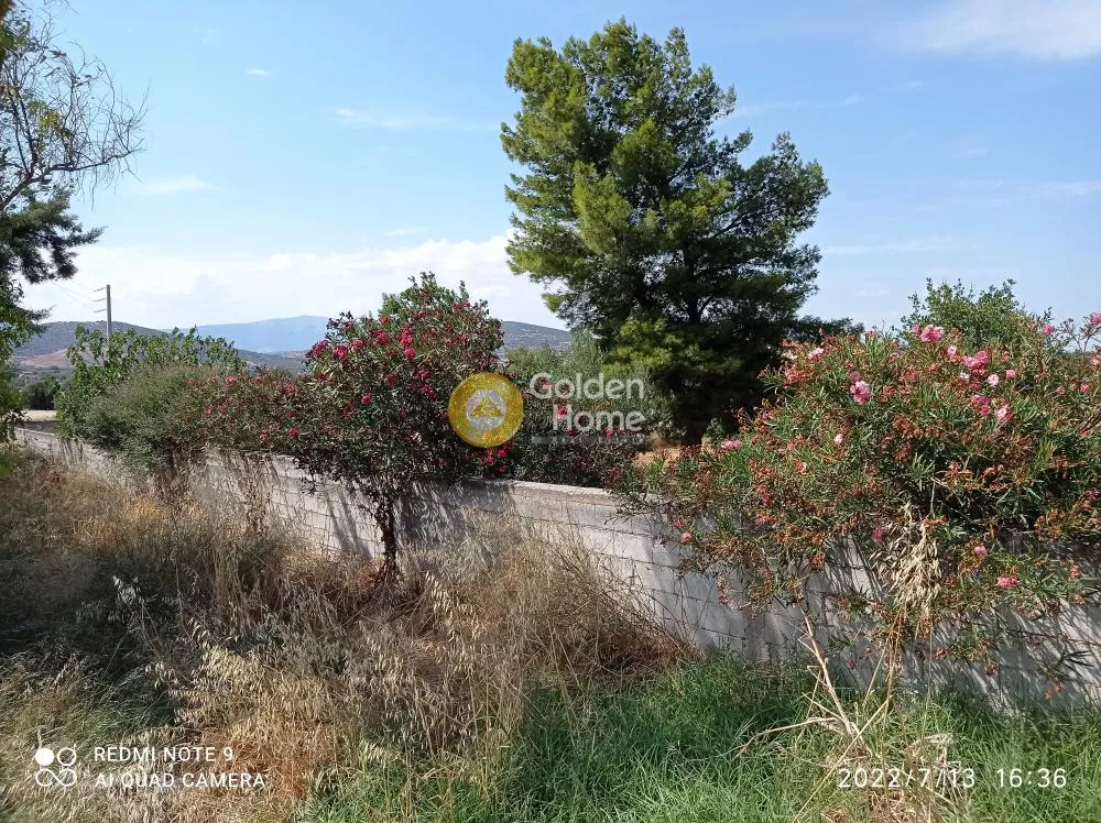 Land Parcel 4050m²  - 5