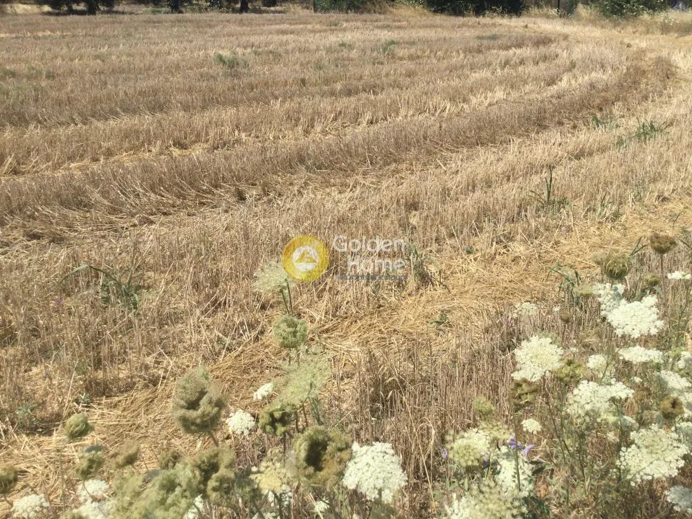 Land Parcel 450m²  - 3