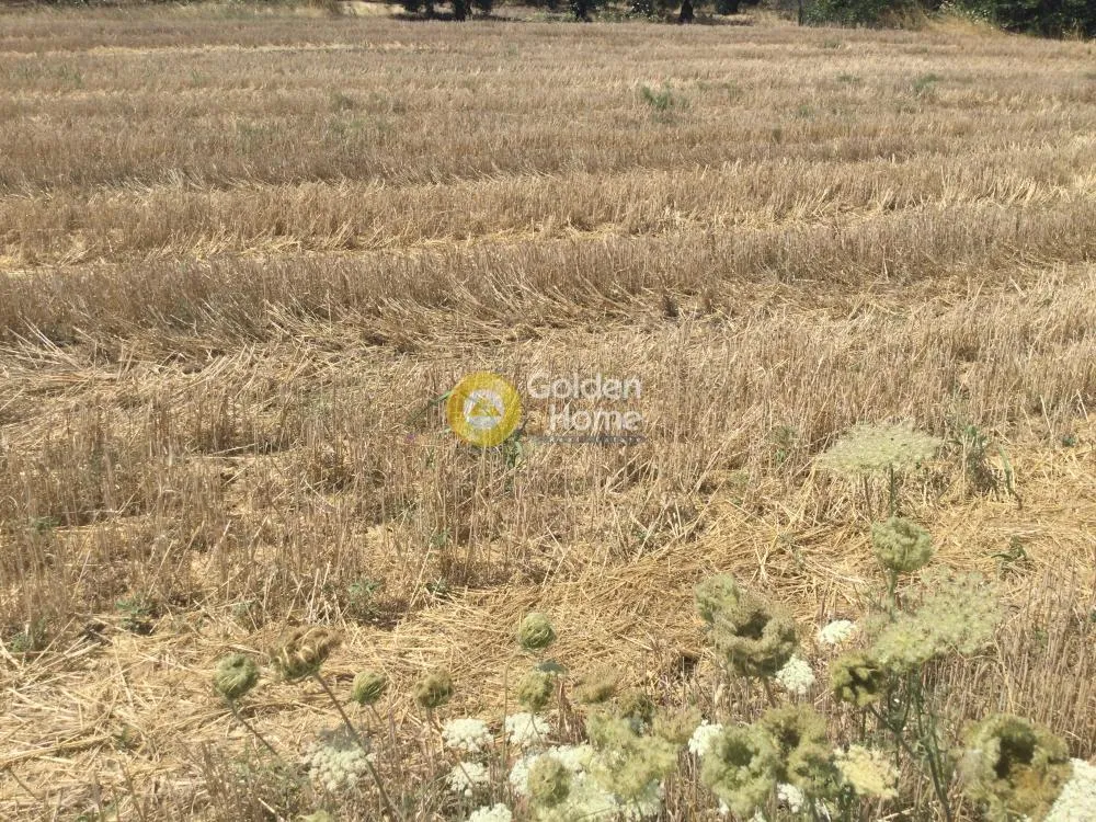 Land Parcel 450m²  - 4