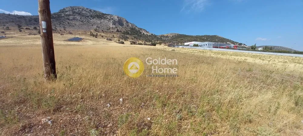 Other .. 13000m²  - 2
