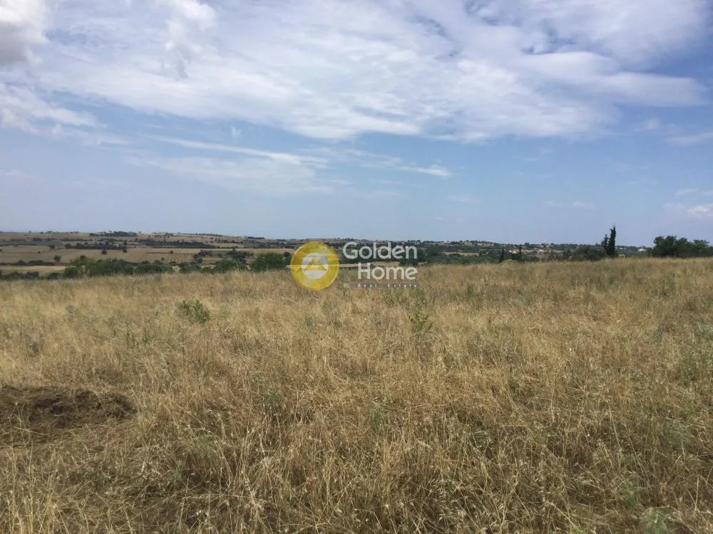 Land Parcel 5000m²  - 2