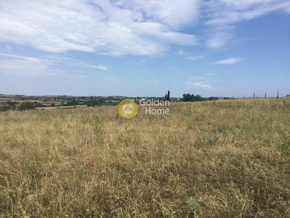 Land Parcel 5000m²  - 4