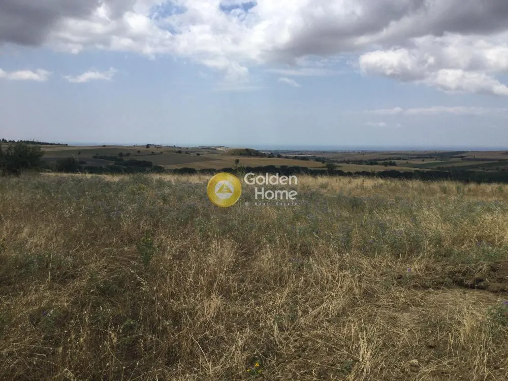 Land Parcel 5000m²  - 5