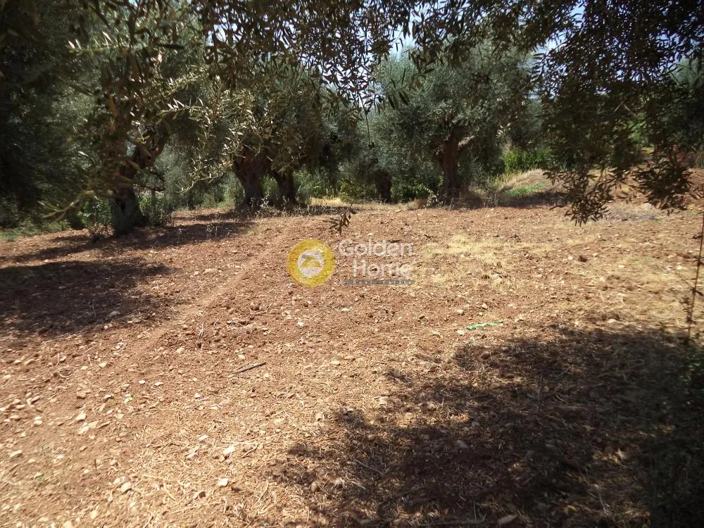 Land Parcel 571m²  - 2