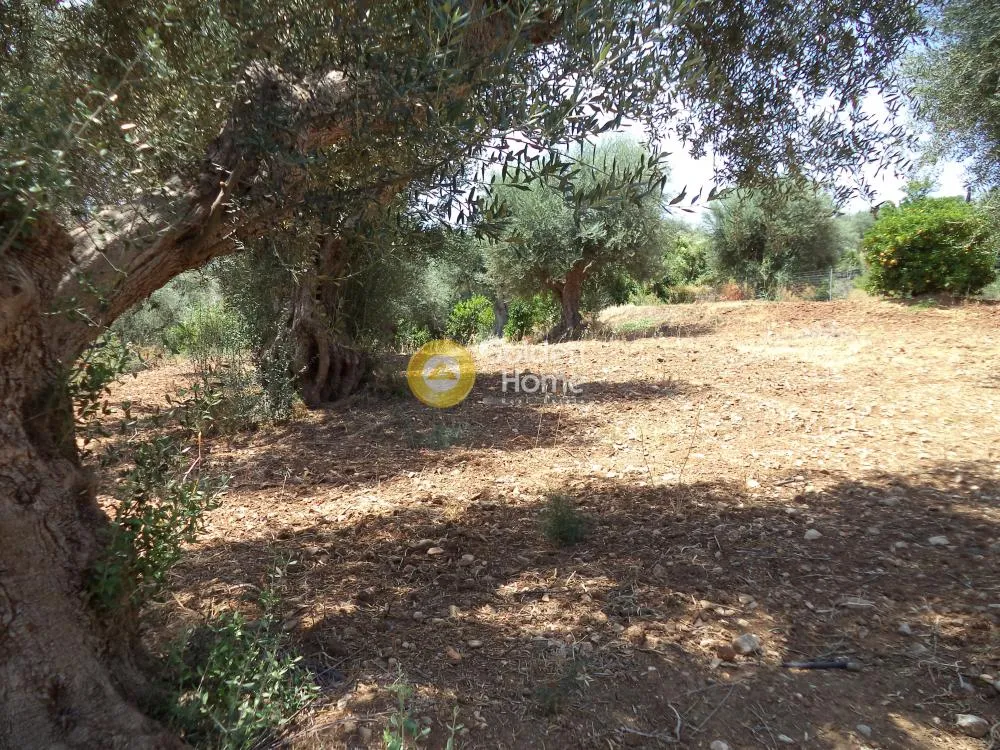 Land Parcel 571m²  - 4