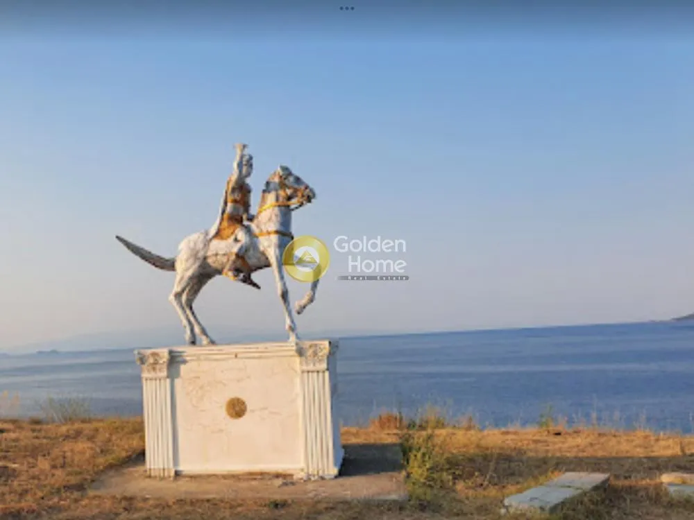 Αγροτεμάχιο 9000τ.μ.  - 3