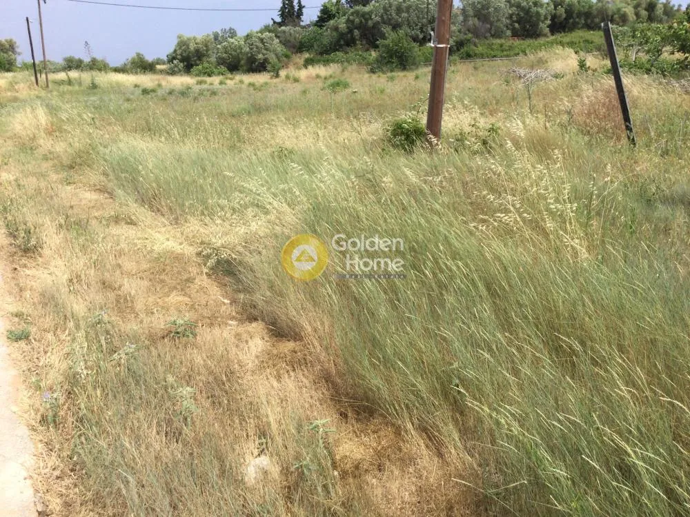 Αγροτεμάχιο 5850τ.μ.  - 2