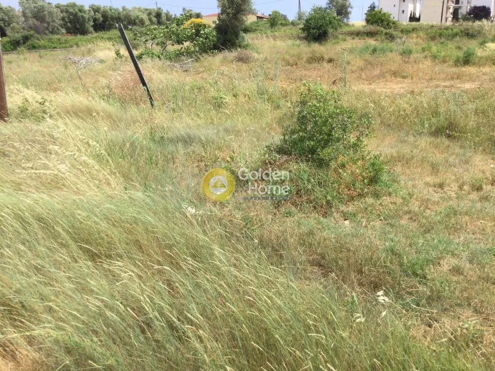 Αγροτεμάχιο 5850τ.μ.  - 3
