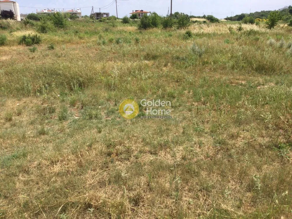 Αγροτεμάχιο 5850τ.μ.  - 5
