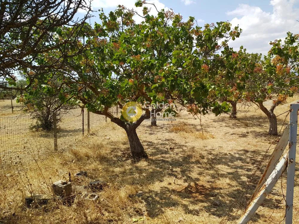 Land Parcel 600m²  - 2