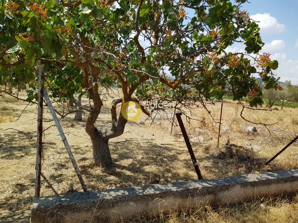 Land Parcel 600m²  - 3