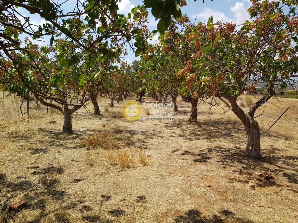 Land Parcel 600m²  - 5