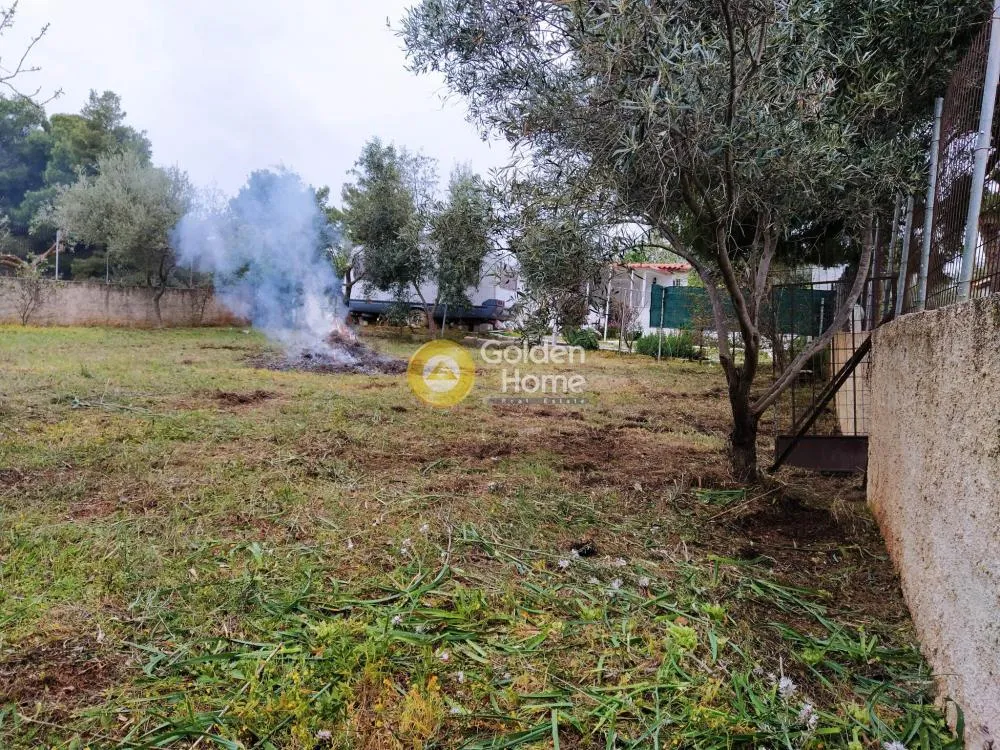 Αγροτεμάχιο 300τ.μ.  - 3
