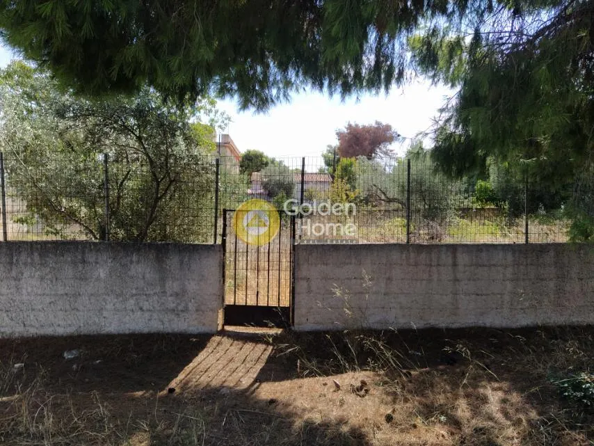 Αγροτεμάχιο 300τ.μ.  - 5