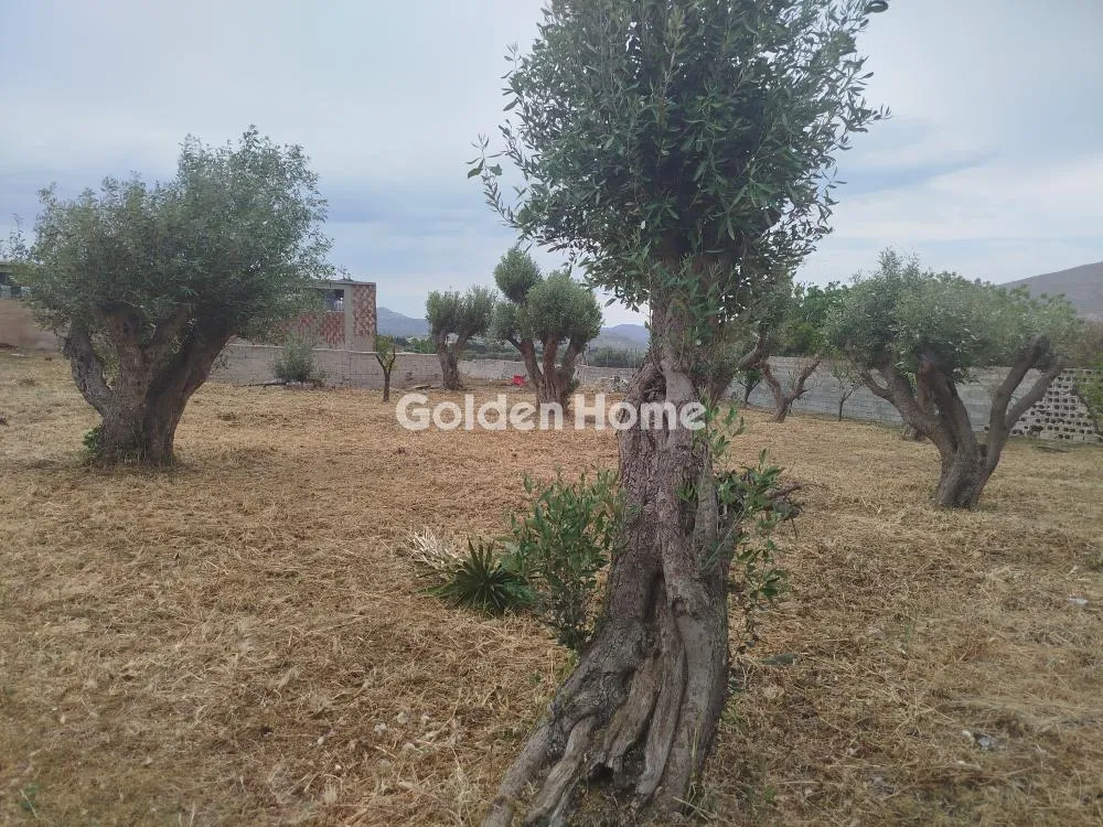 Detached house 100m²  - 2