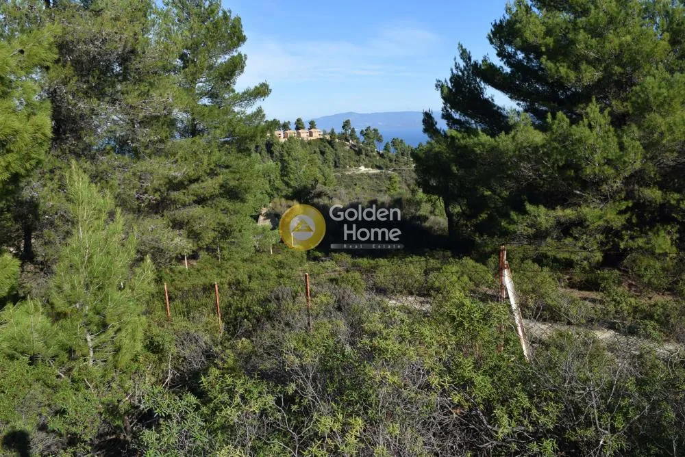 Land Parcel 4043m²  - 4