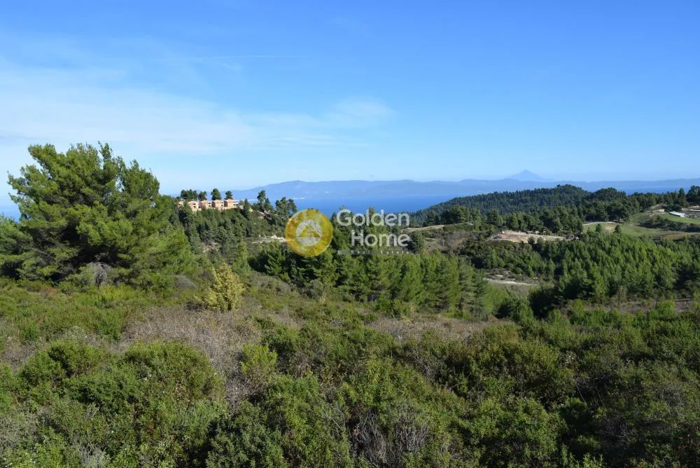 Land Parcel 4043m²  - 5