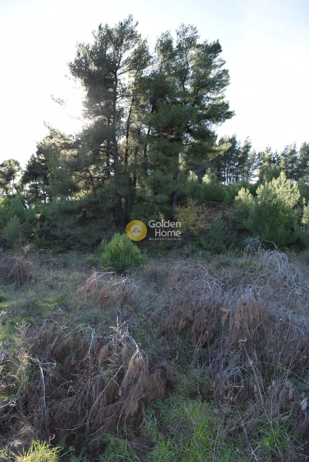 Land Parcel 3394m²  - 2