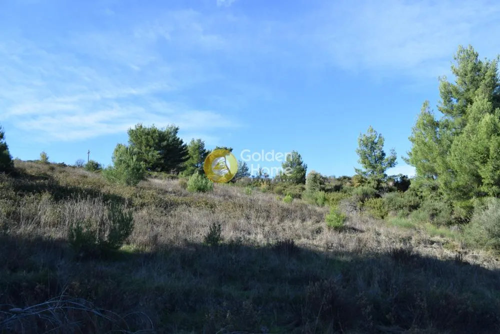 Land Parcel 3394m²  - 3
