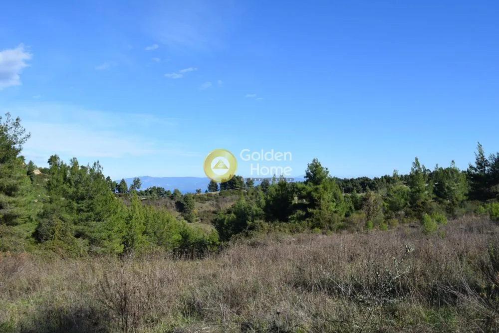 Land Parcel 3394m²  - 4