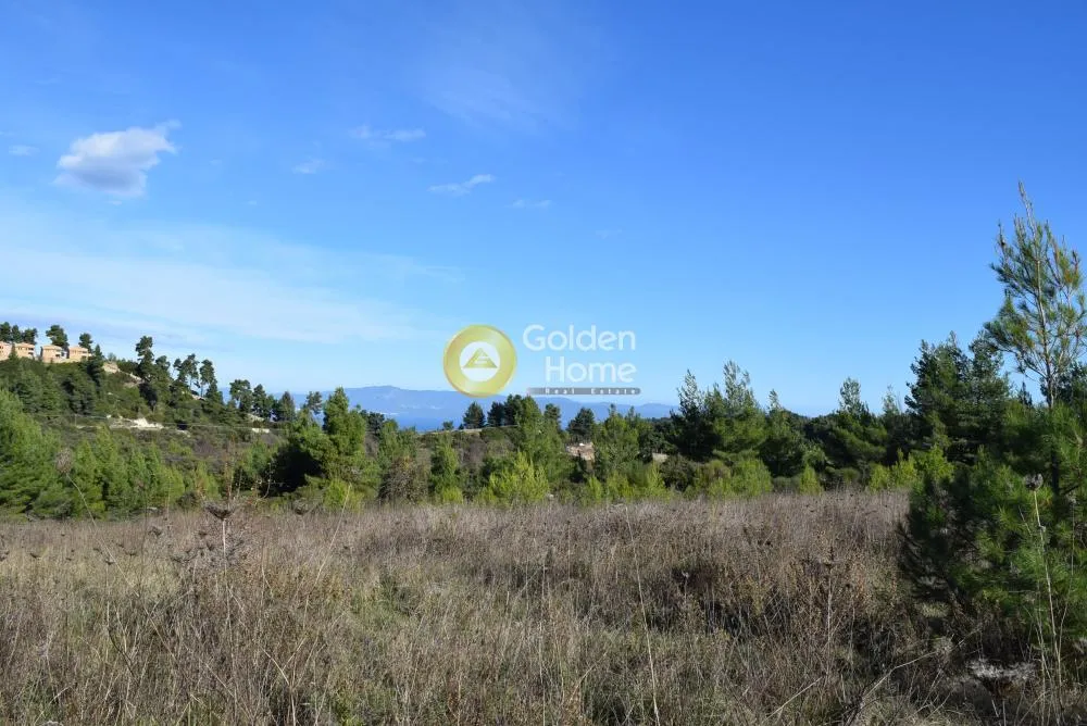 Land Parcel 3394m²  - 5