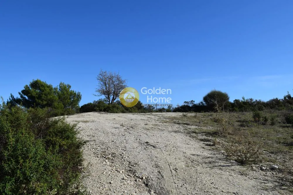 Land Parcel 4503m²  - 2