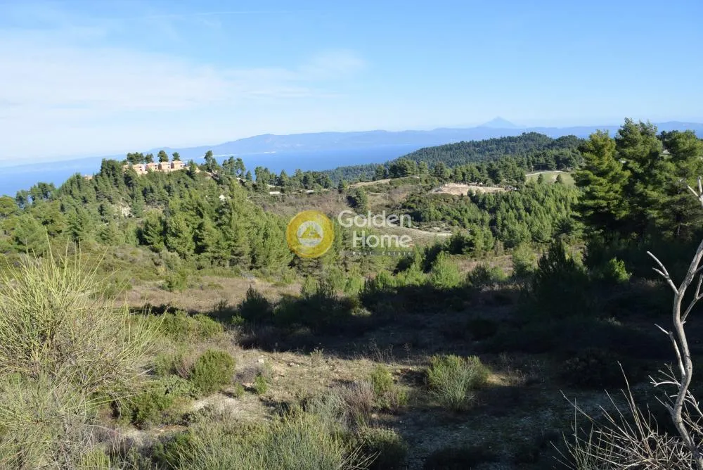 Land Parcel 4503m²  - 3