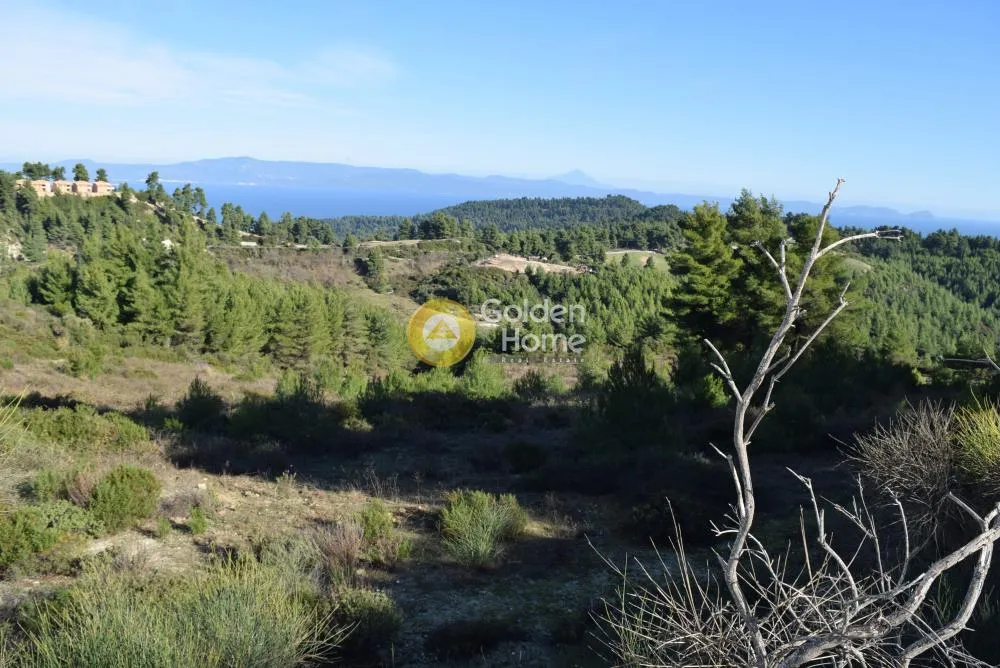 Land Parcel 4503m²  - 4