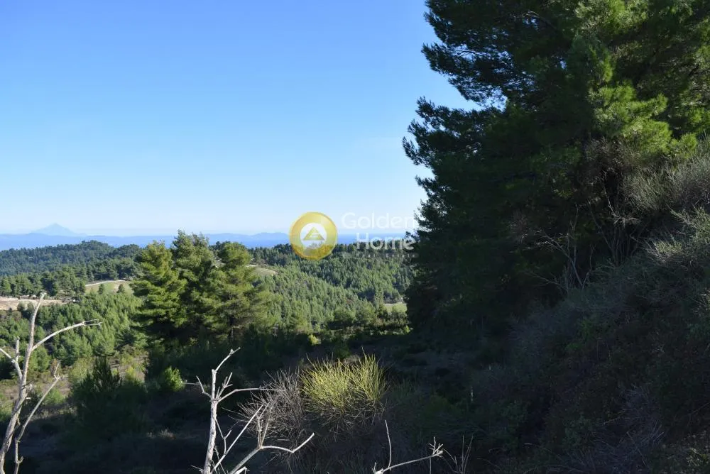 Land Parcel 4503m²  - 5