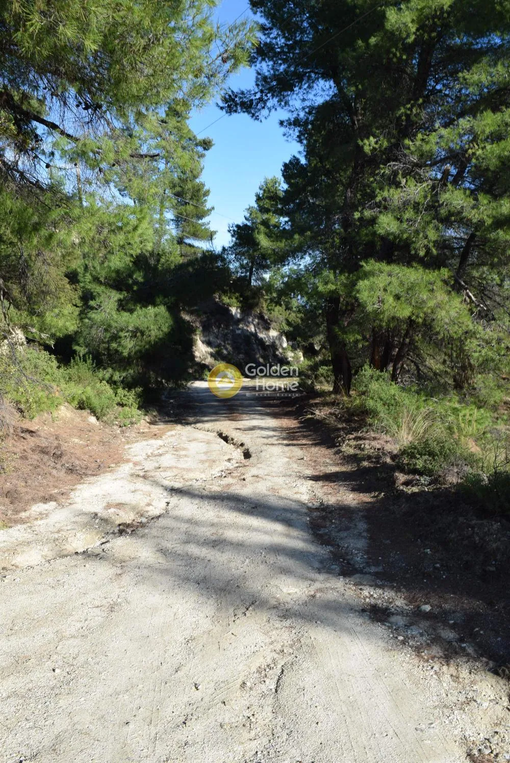 Αγροτεμάχιο 4088τ.μ.  - 2