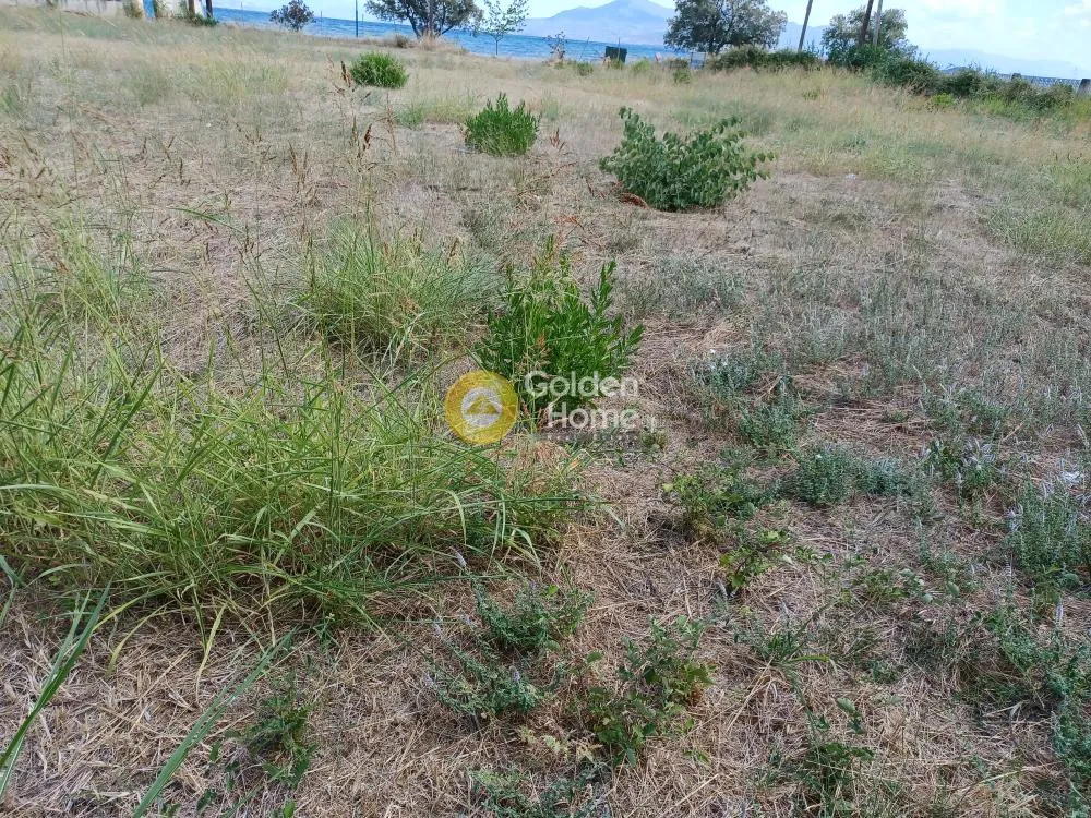 Land Parcel 18000m²  - 4