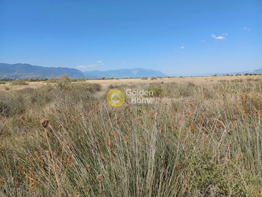 Land Parcel 55000m²  - 2