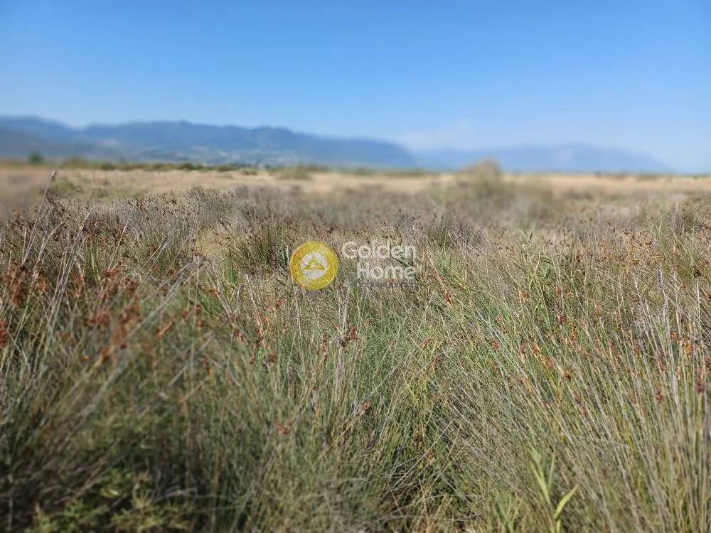 Land Parcel 55000m²  - 4