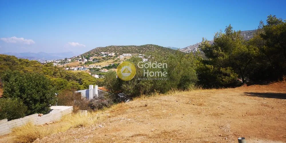 Αγροτεμάχιο 550τ.μ.  - 2