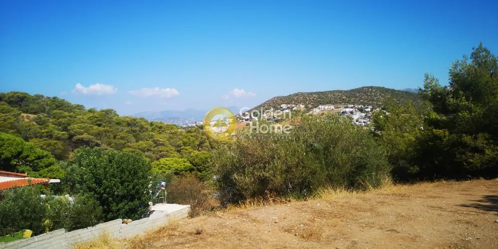 Αγροτεμάχιο 550τ.μ.  - 3