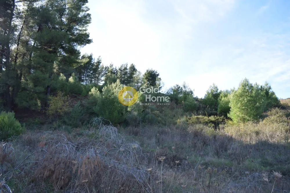 Land Parcel 20044m²  - 2