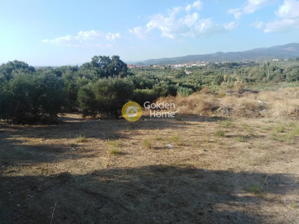 Άλλο.. 9523τ.μ.  - 3
