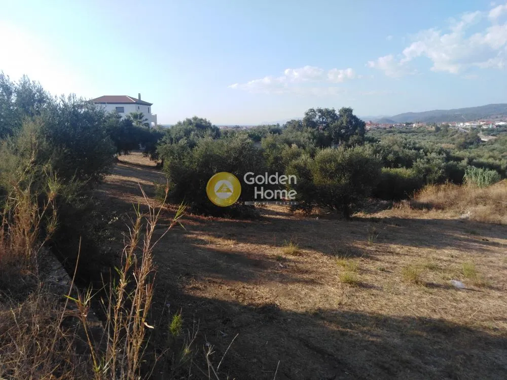 Άλλο.. 9523τ.μ.  - 5