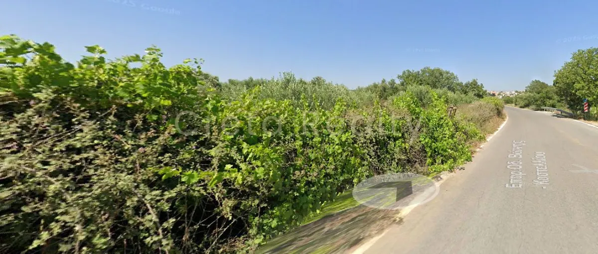 Plot 650m²  - 3