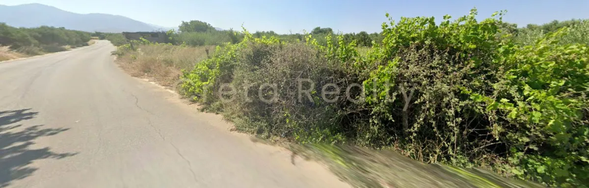 Plot 650m²  - 4