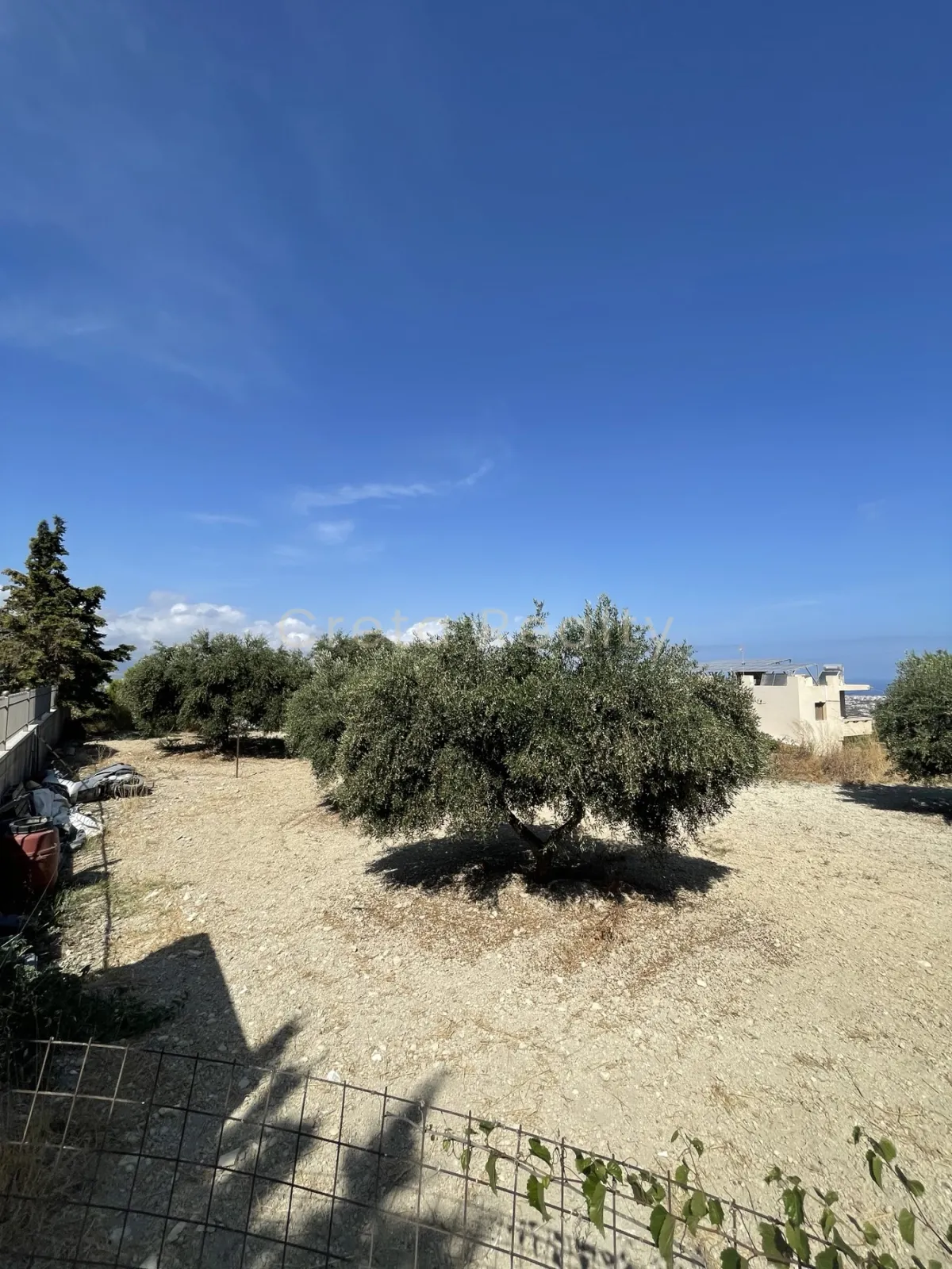 Plot 728m²  - 4