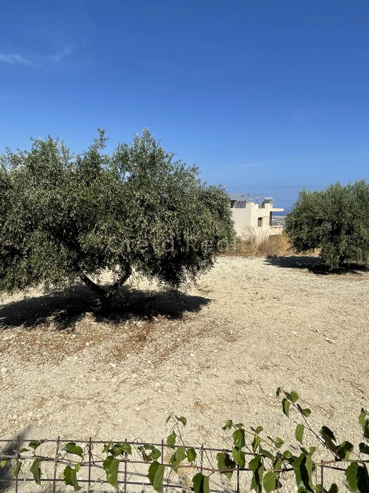 Plot 728m²  - 5