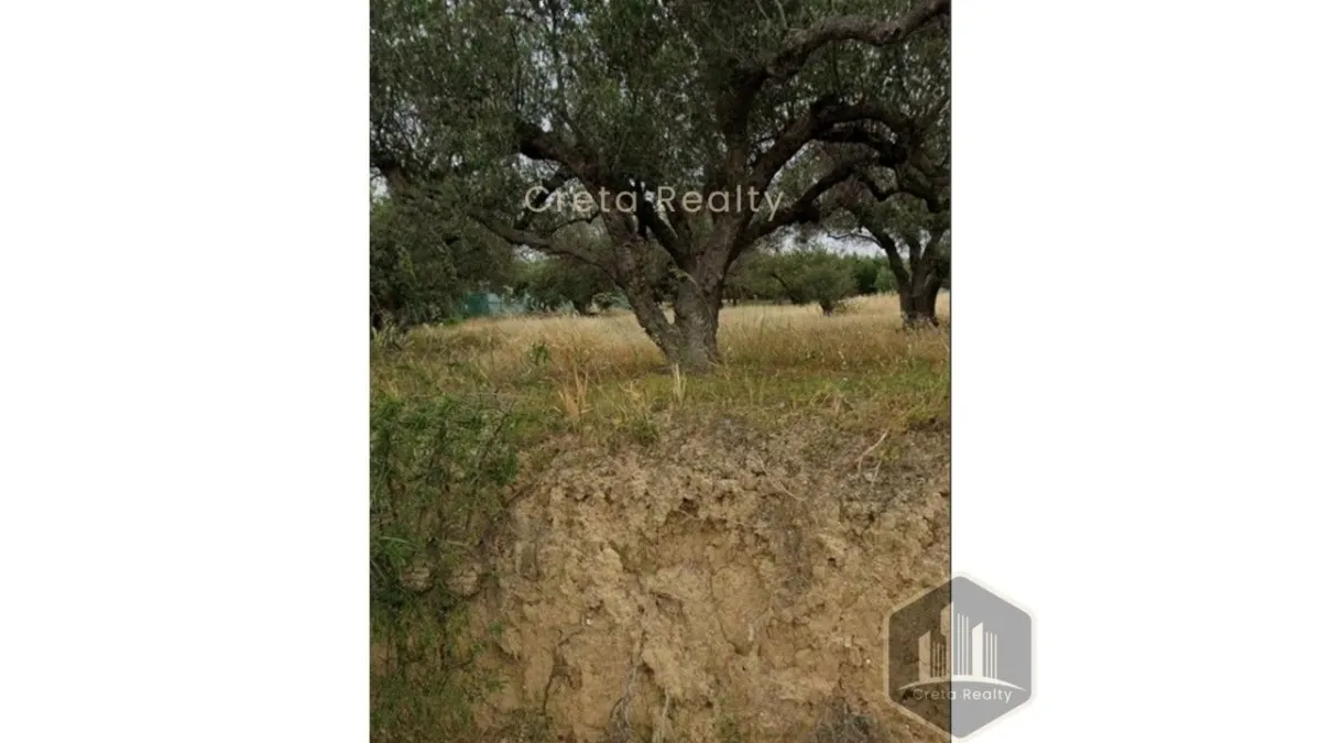 Plot 1787m²  - 3