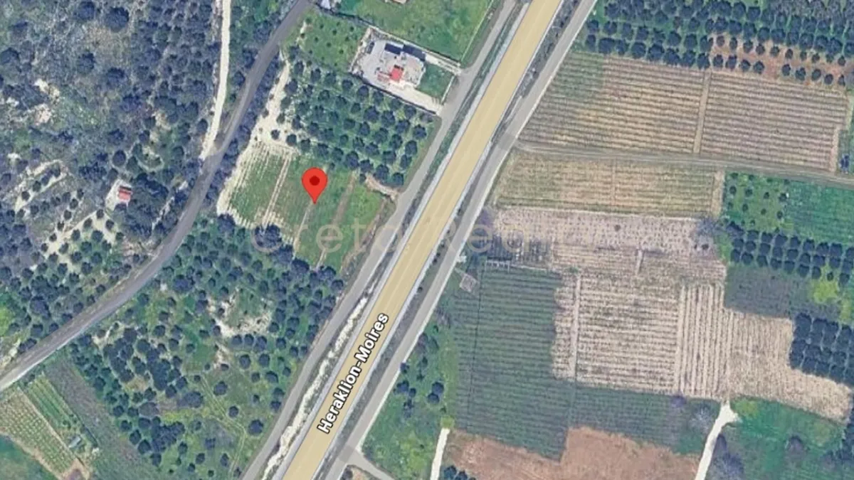 Plot 3031m²  - 4